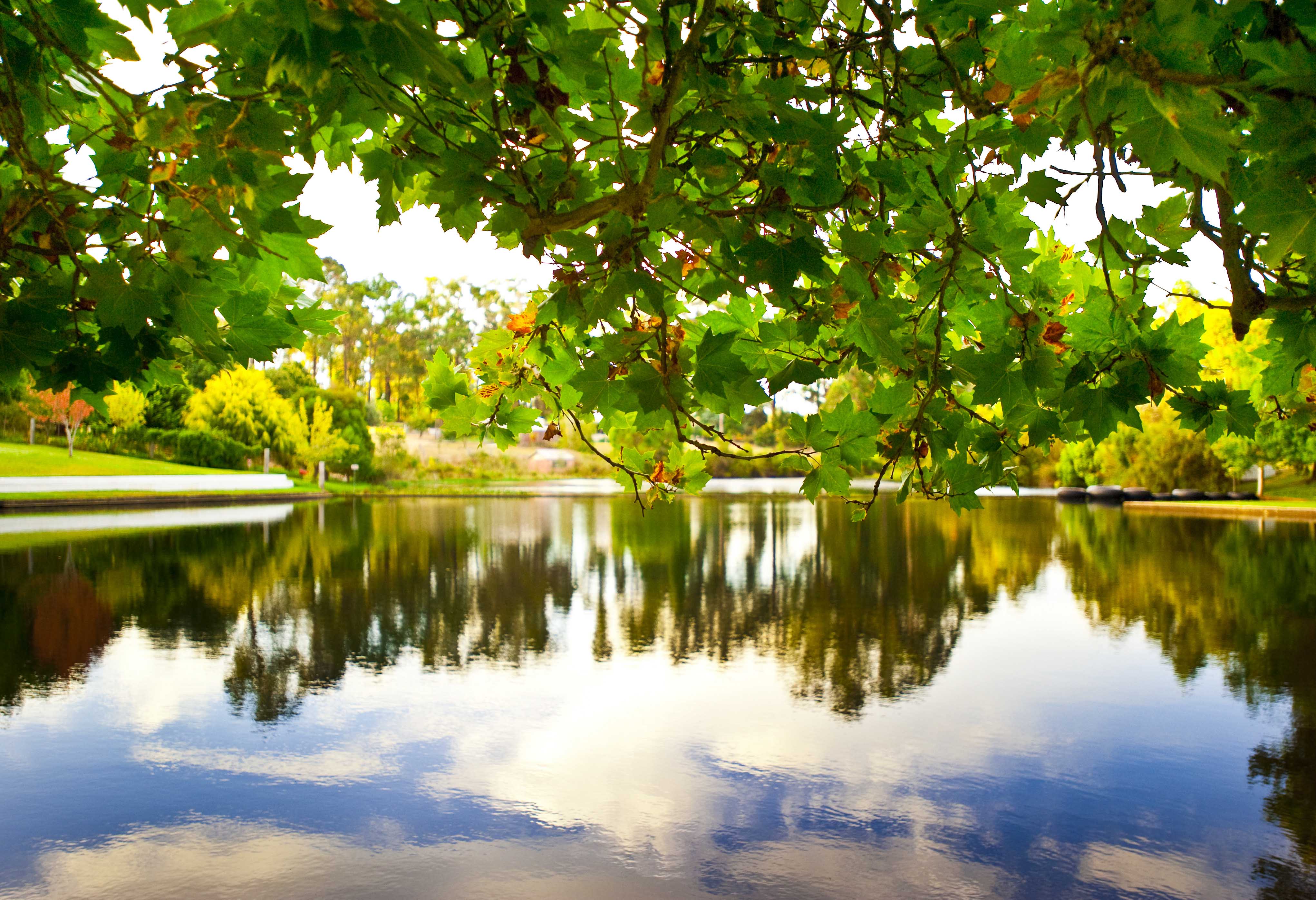 Caravan Park and Chalets | Fontys Pool | Manjimup