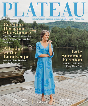plateau magazine cover dharma model blue dress.jpeg