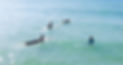 DJI_0973 copy.jpg