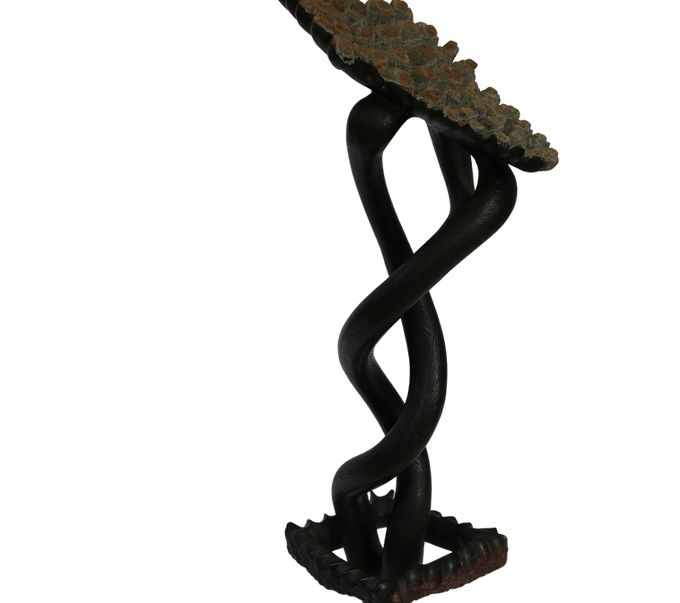 59c313fa-b53b-44fd-bcb9-be6e5c78ec56.png
