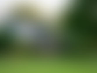 The Skylark Cafe Wandsworth Common exterior Private Event