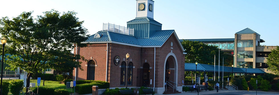 d9455f_b3f73604419641ffb5fc838a3094bffd~mv2.jpg