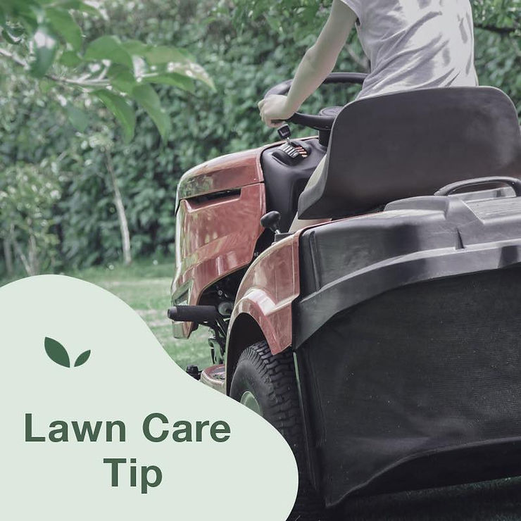 Lawn Mowing, Maintenance, Leaf Removal, Yard Work, Spring Clean Up near me in Tulsa, OK