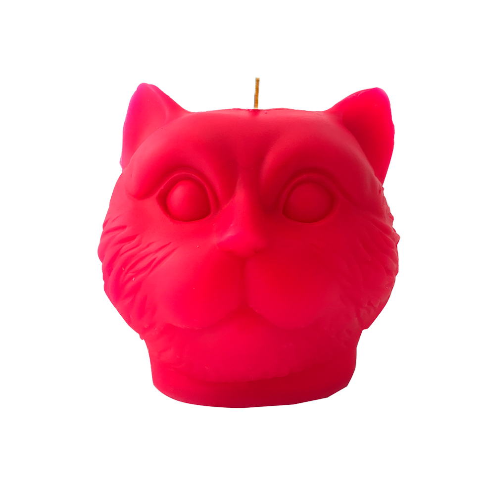 Miniatura: Big Cat