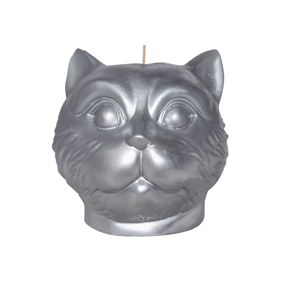 Miniatura: Big Cat
