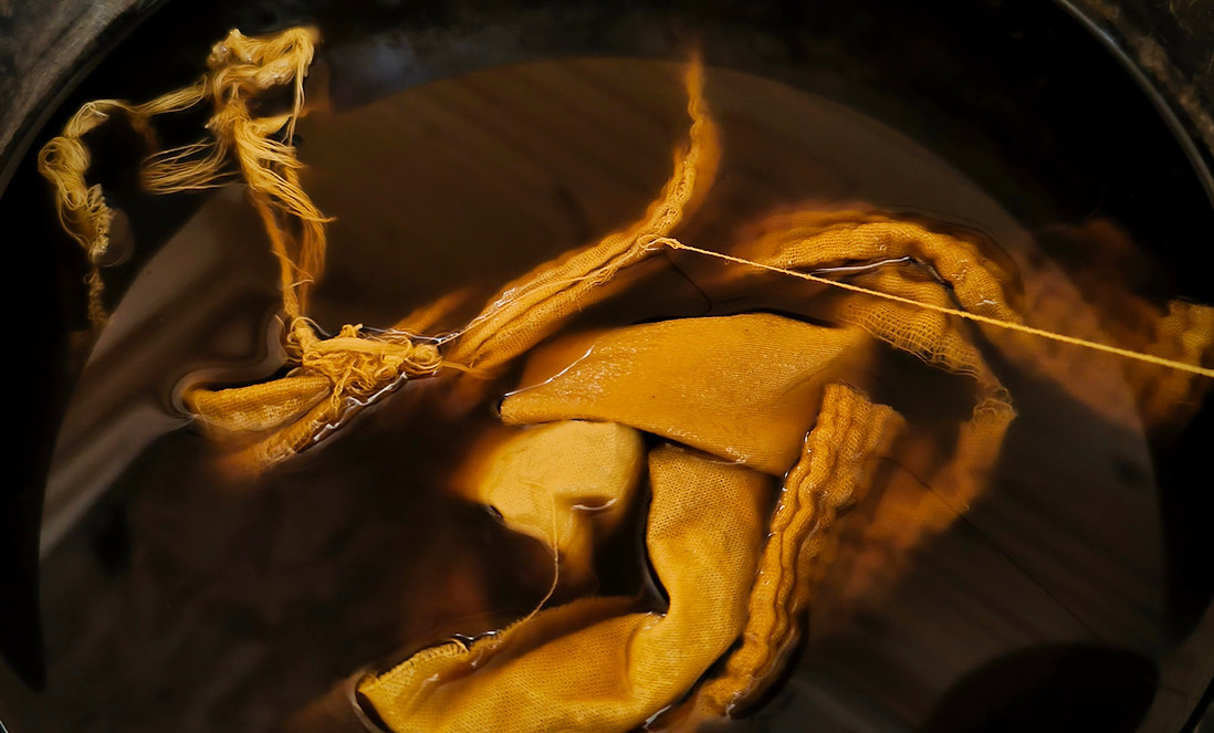 verge d'or nollaa.jpg