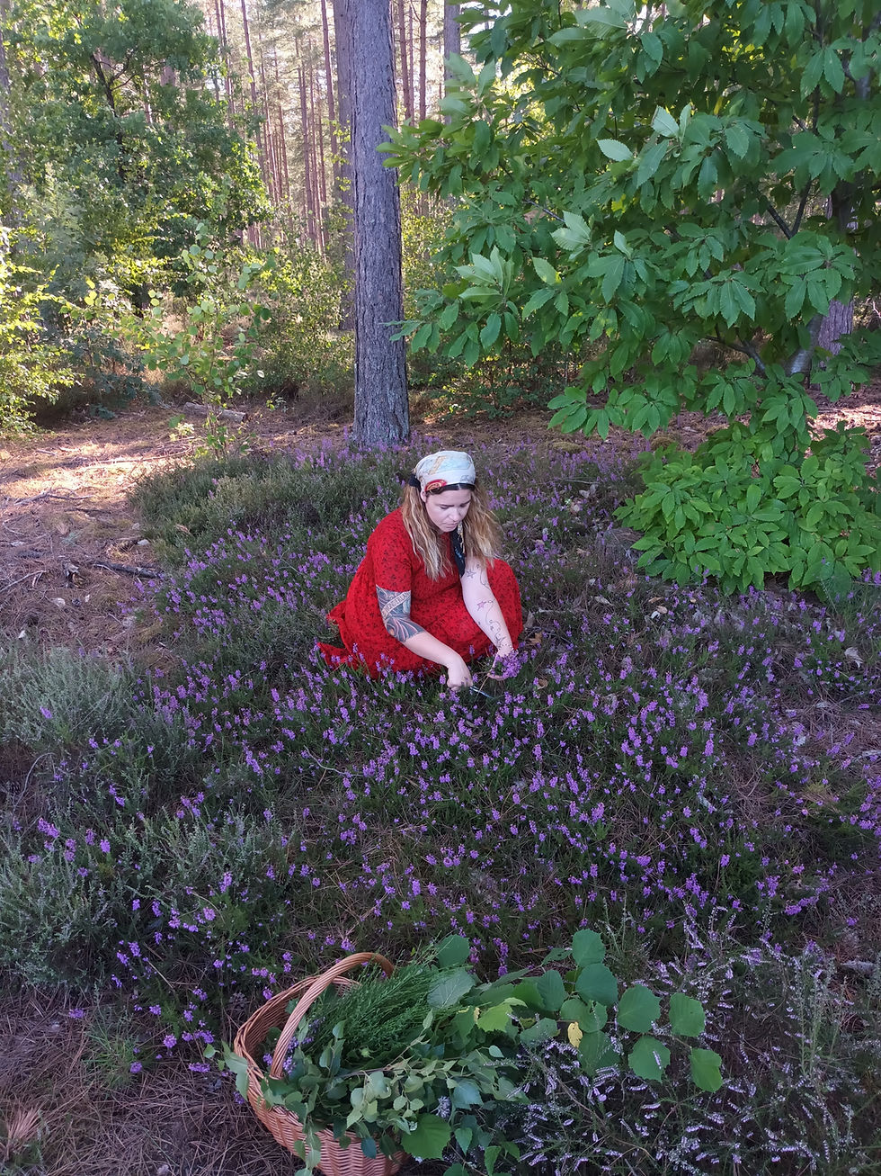 BALADE À LA DÉCOUVERTE DES PLANTES SAUVAGES - FORÊT D'ARDON