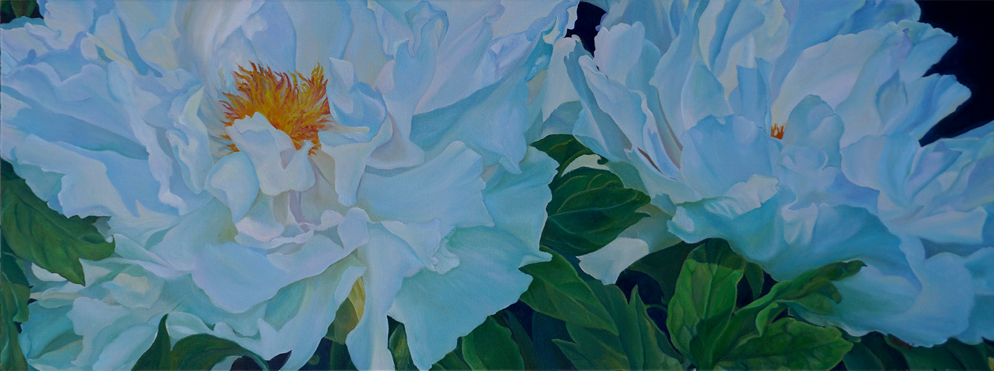 White Tree Peonies No. 6