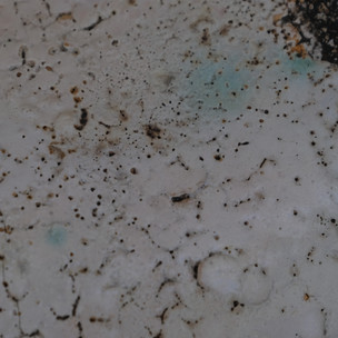 Detail from Plate