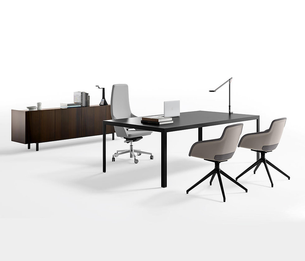 frame-evo-executive-individual-pro-b-arcit18.jpeg