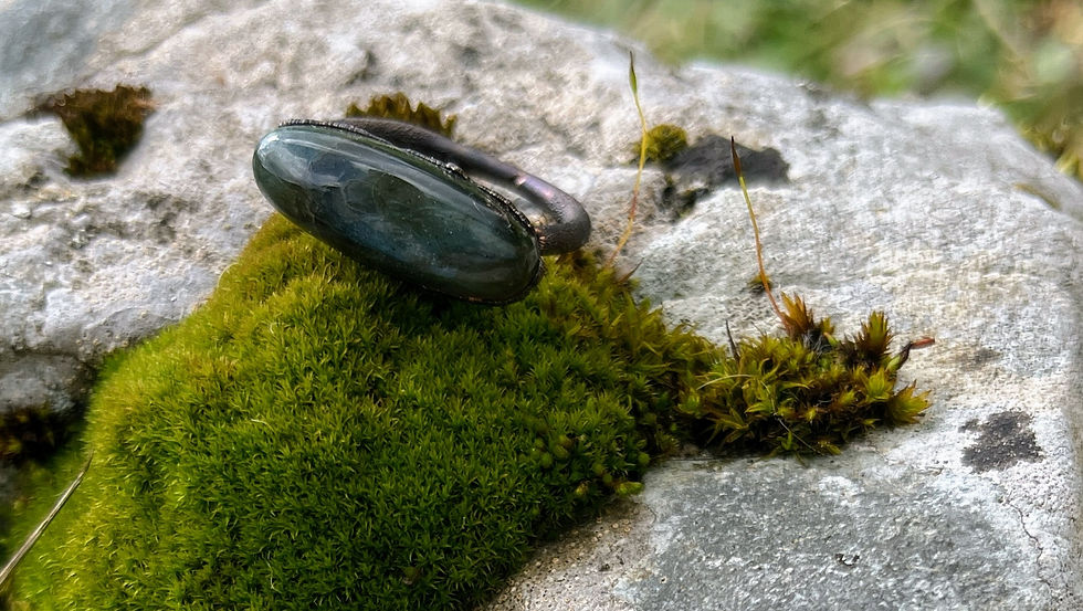 Miniaturbild: Labradoritring (Kupfer ohne Nickel oder Blei)