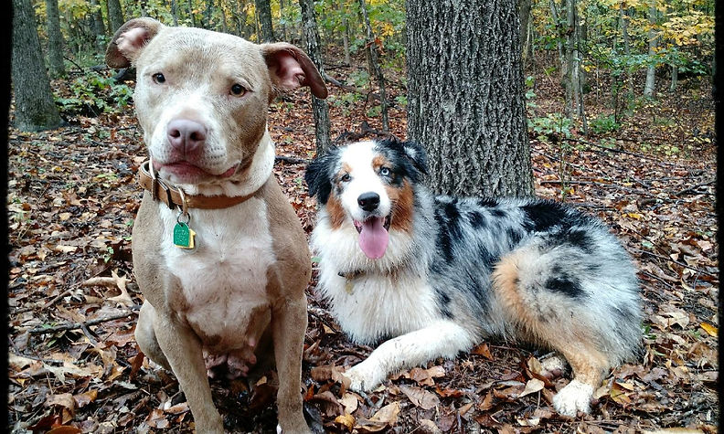 Dee & Tarot - Copy.jpg