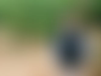 Talking Baja California wine with Hans Backhoff