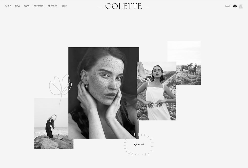 Colette Shop homepage