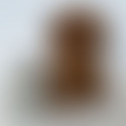 成長過程📝03/05更新