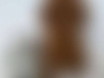 成長過程📝03/05更新