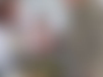 Ukraine UK Unity at the meeting with Ukrainian soldiers!