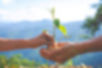 Responsable station d'Expérimentation semences H/F