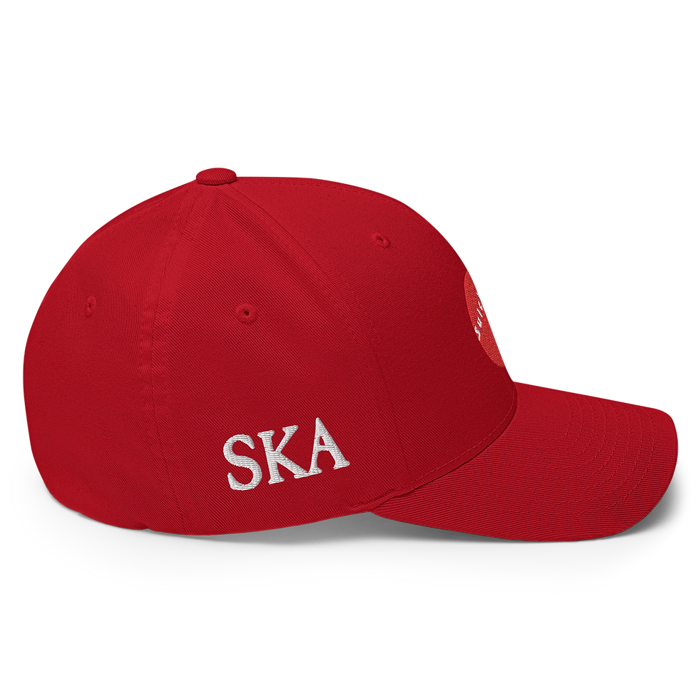 Thumbnail: SK Red Dot, Flex Fit Cap