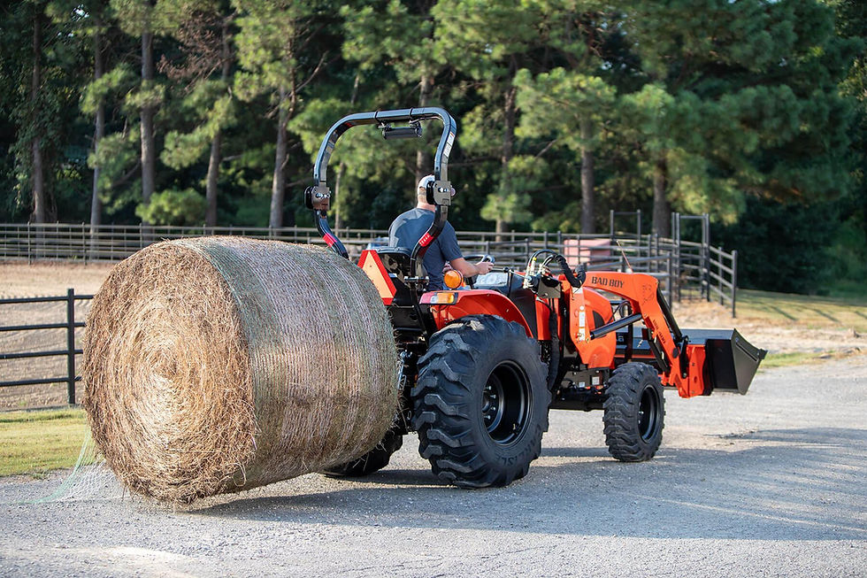 Thumbnail: Bad Boy 4035 4WD Loader