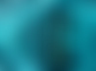 Network & Bağlantı