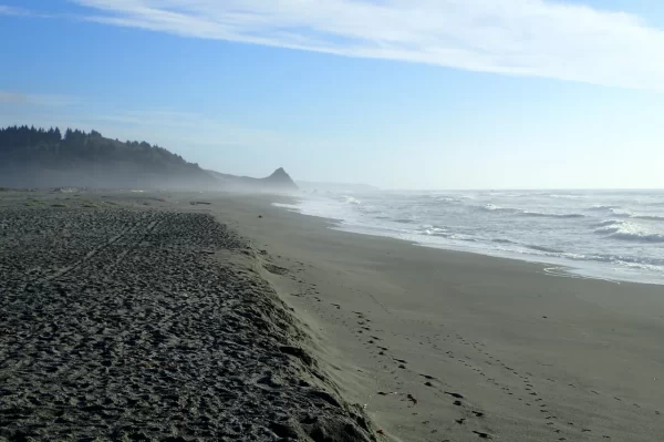 Humboldt Lagoons State Park