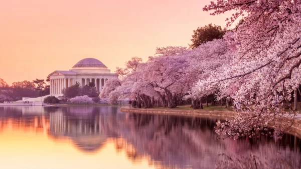Washington D.C.