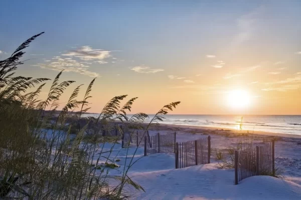 ABD'deki Aile Plajları : Hilton Head, South Carolina