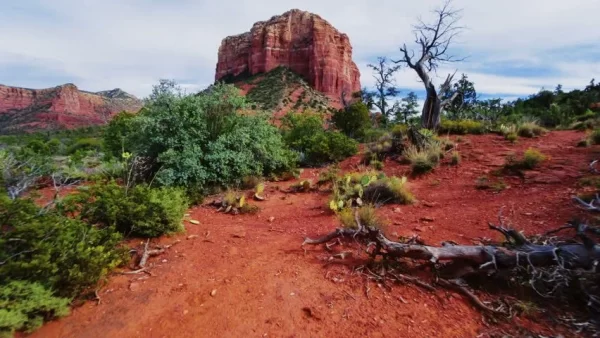 Arizona Çöl İklimi