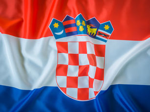 Sustainability and Innovation: The Future of Croatian Healthcare