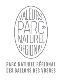 WEBPAGE-LISBETH-Pictos-gris-Nessel-Alsace_Terroir_et_Parc_Région-01.png