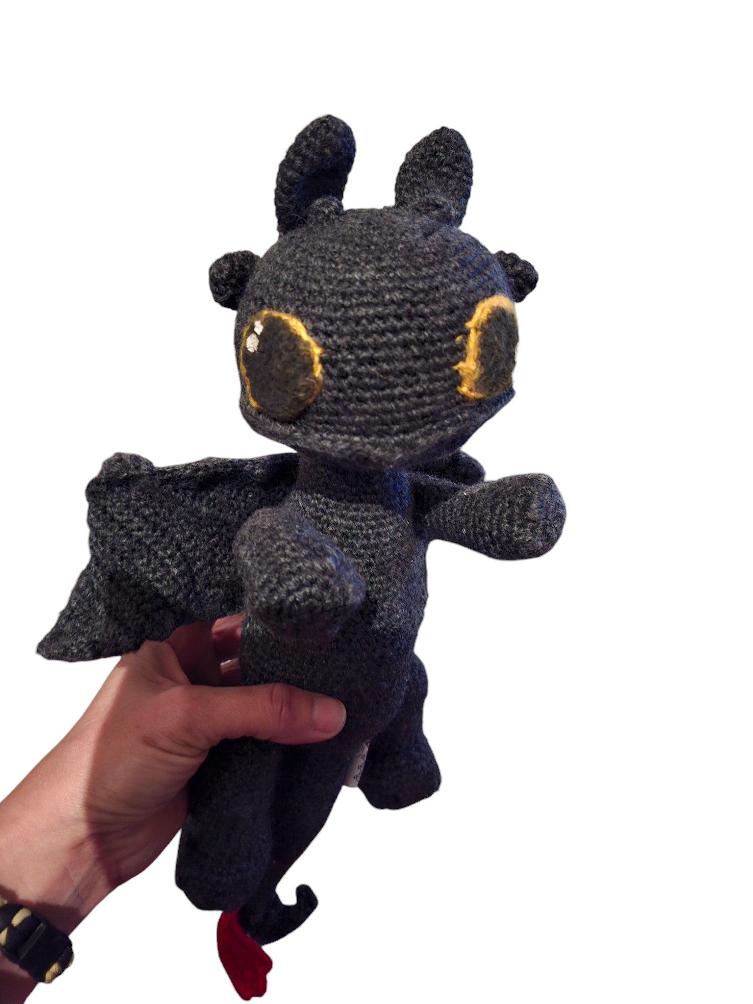 הדרקון הראשון שלי 