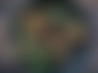 私の壮大な人体実験 part1.たんぱく質の摂り方