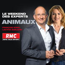 Interview RMC - Vos animaux !