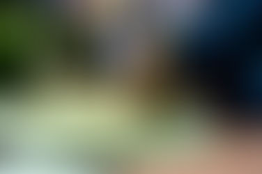 Le Point - Singer le chat pour mieux vivre !