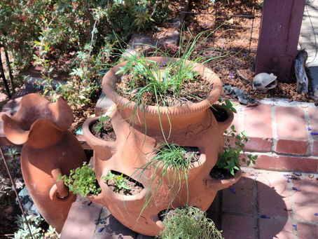 Wherein I claim, "Tai Chi ain't so ancient!"