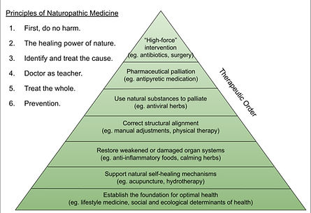 Therapeutic Order_edited.jpg