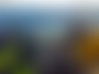 Skitag mit dem Bayerisch-Slowenischen Gesellschaft