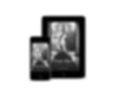 Pre-made Kindle cover