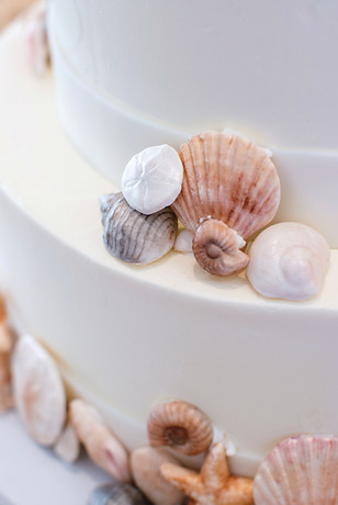 Seashell Wedding Cake