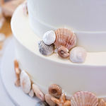 Seashell Wedding Cake