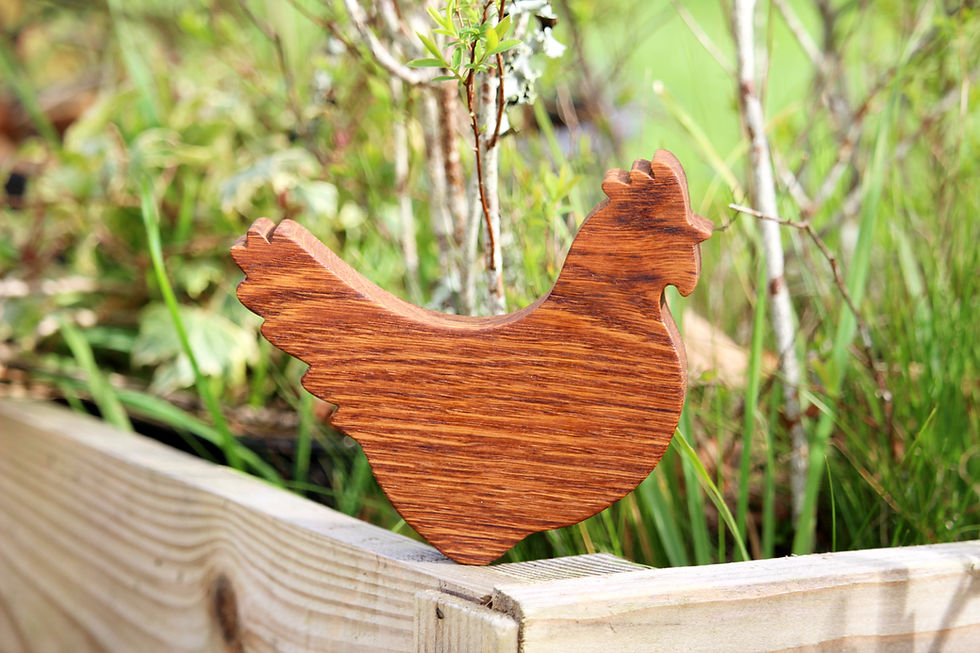 Miniature : Les poulettes
