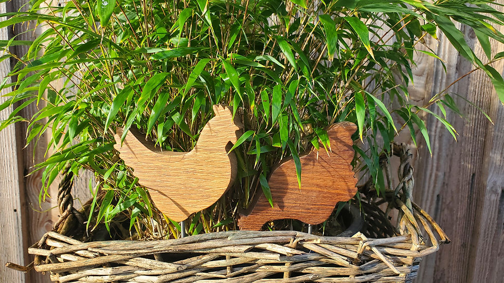Miniature : Les poulettes