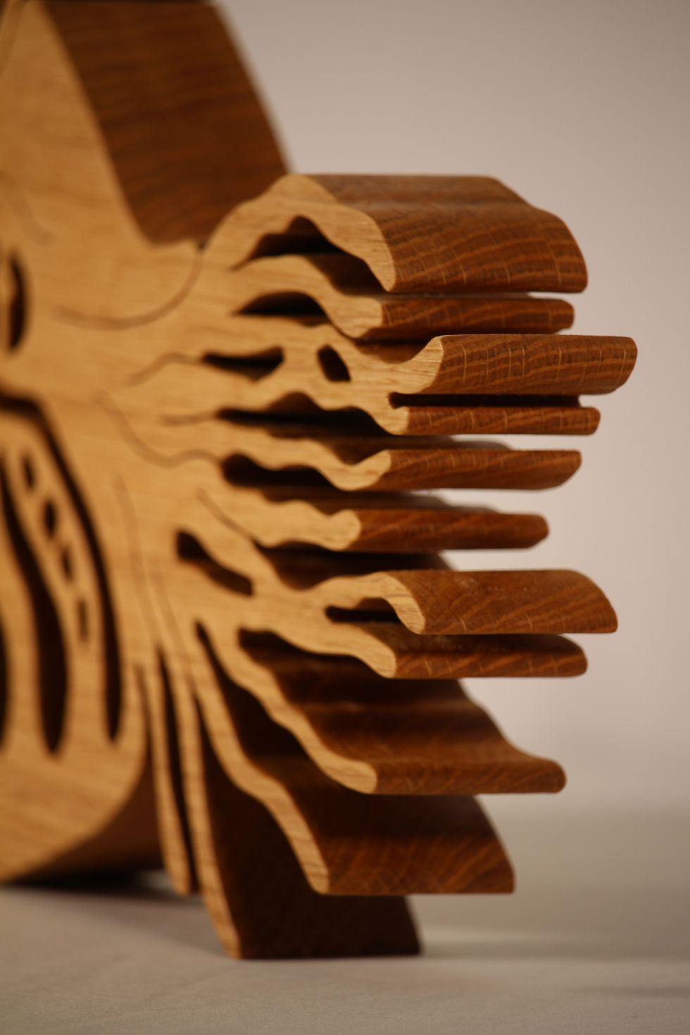 Miniature : Nautilus