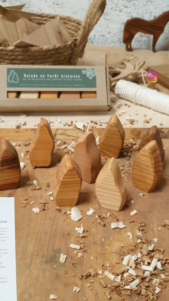 Miniature : Balade en forêt bretonne
