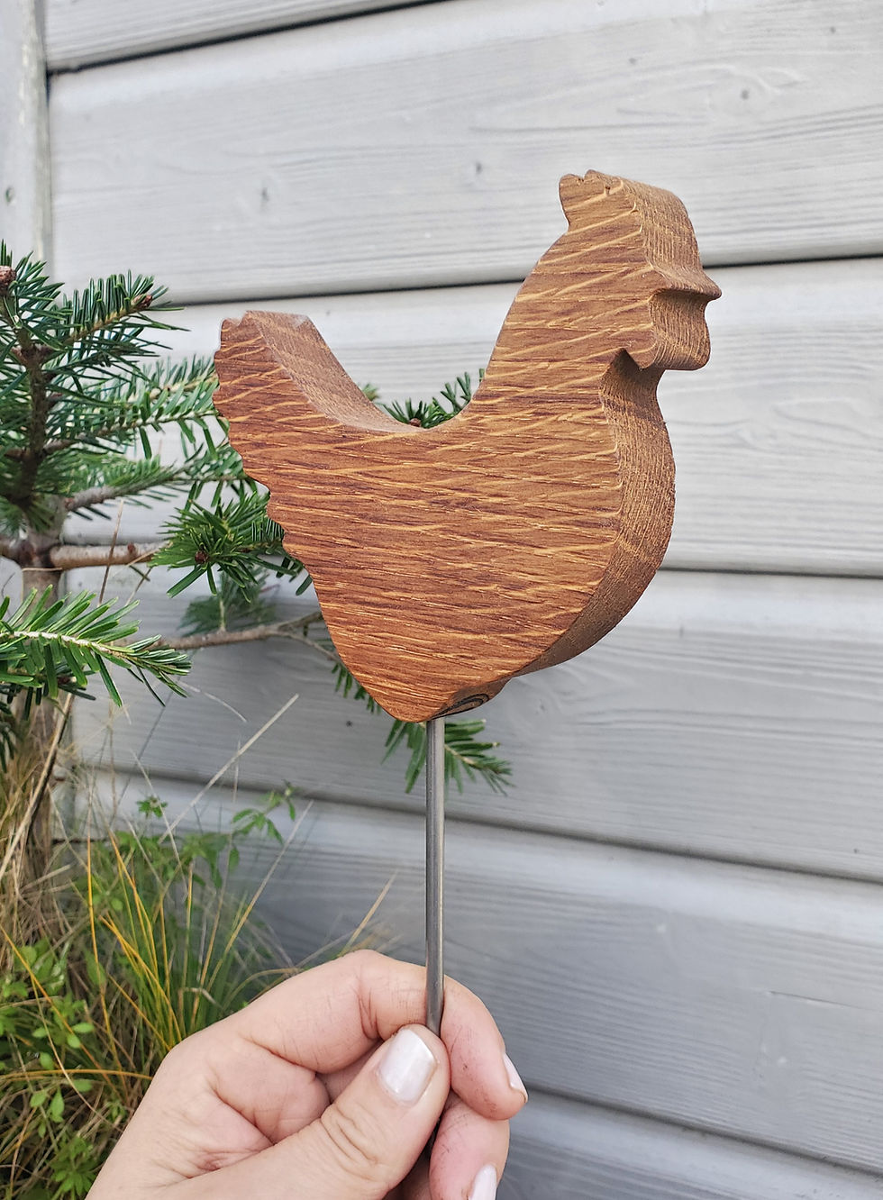 Miniature : Les poulettes