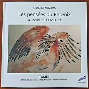 Roman graphique : Les pensées du phoenix
