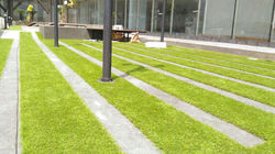 Plaza Radison 1280x720 2