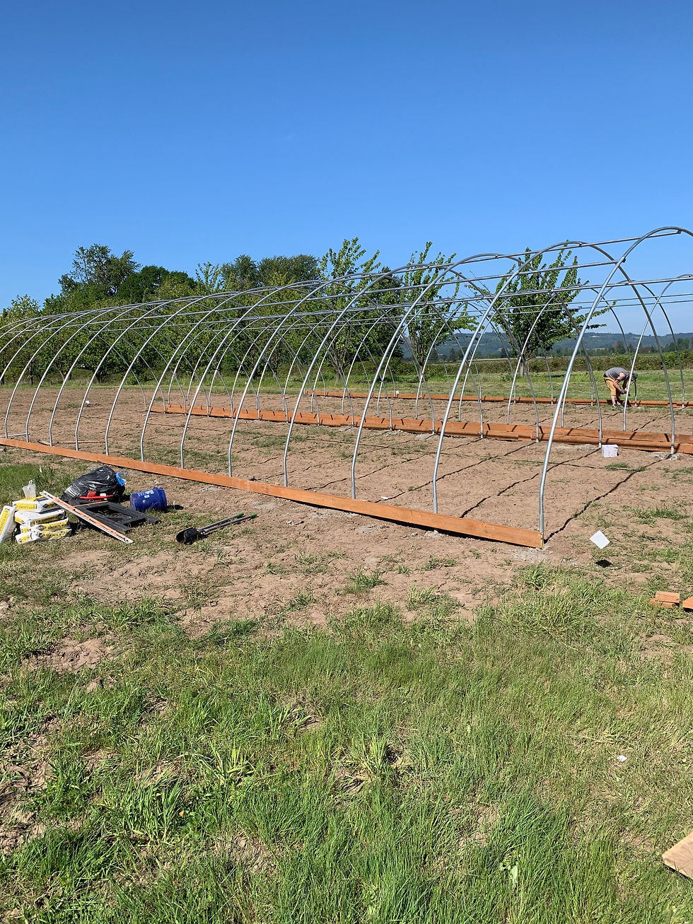 Thumbnail: 20' Greenhouse Kits