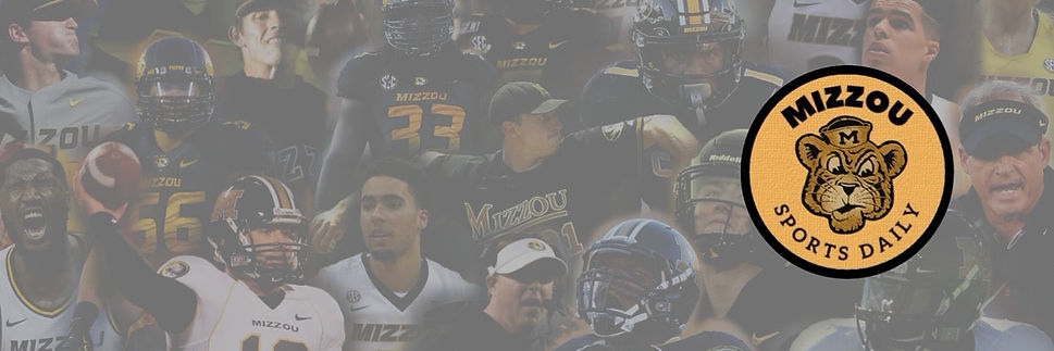 MSD Banner.jpeg